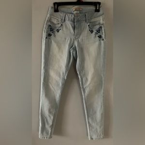 Blue Spice Embroidered Jeans